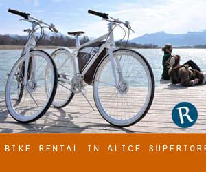 Bike Rental in Alice Superiore