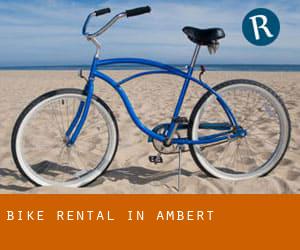 Bike Rental in Ambert