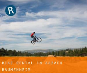 Bike Rental in Asbach-Bäumenheim