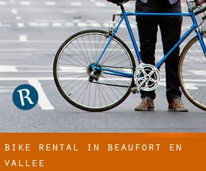 Bike Rental in Beaufort-en-Vallée