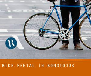 Bike Rental in Bondigoux