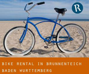 Bike Rental in Brunnenteich (Baden-Württemberg)