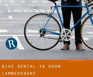 Bike Rental in Dohm-Lammersdorf