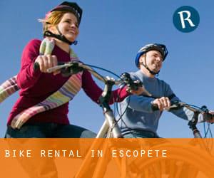Bike Rental in Escopete