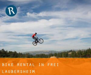 Bike Rental in Frei-Laubersheim