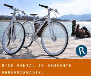 Bike Rental in Gemeente Ferwerderadiel