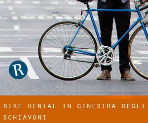 Bike Rental in Ginestra degli Schiavoni
