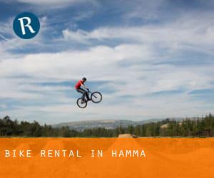 Bike Rental in Hamma