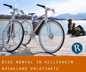 Bike Rental in Hillesheim (Rhineland-Palatinate)