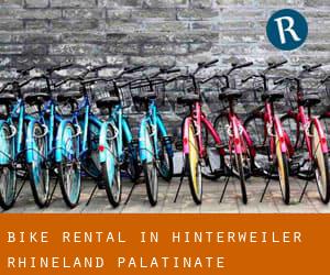Bike Rental in Hinterweiler (Rhineland-Palatinate)