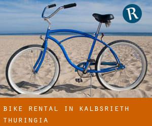 Bike Rental in Kalbsrieth (Thuringia)