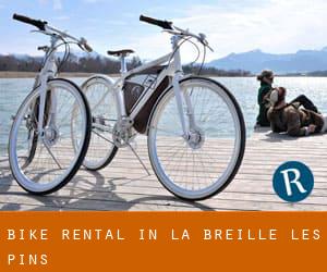 Bike Rental in La Breille-les-Pins