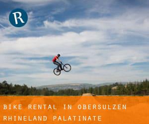 Bike Rental in Obersülzen (Rhineland-Palatinate)