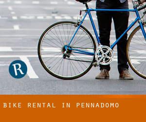 Bike Rental in Pennadomo