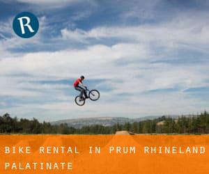 Bike Rental in Prüm (Rhineland-Palatinate)