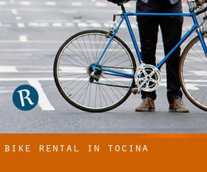 Bike Rental in Tocina