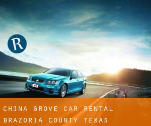 China Grove car rental (Brazoria County, Texas)